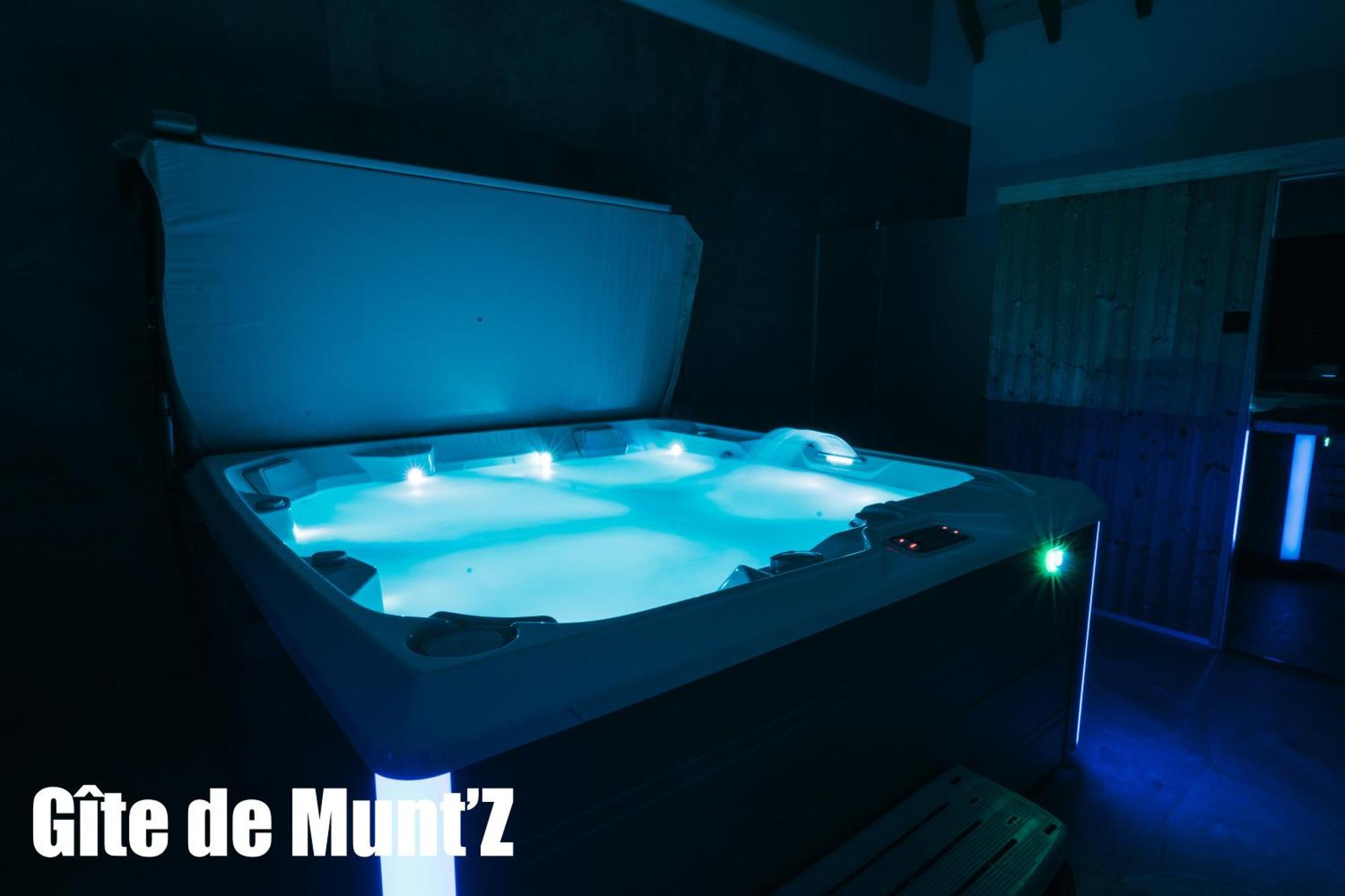 Gite De Munt'Z Spa, Sauna, Piscine, Proche De Colmar Muntzenheim 外观 照片